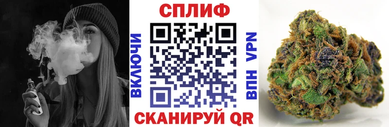 Купить  Голицыно  Канабис SATIVA & INDICA 